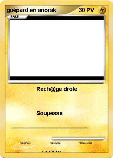 Pokemon guépard en anorak