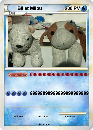 Pokemon Bil et Milou