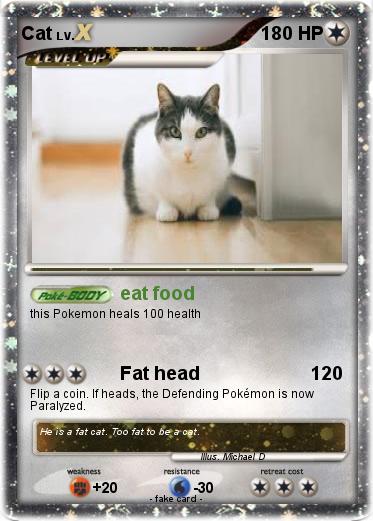 Pokemon Cat