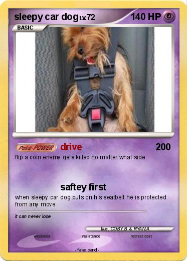 Pokemon sleepy car dog
