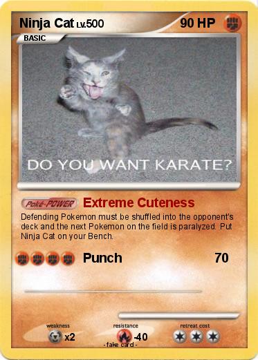 Pokemon Ninja Cat