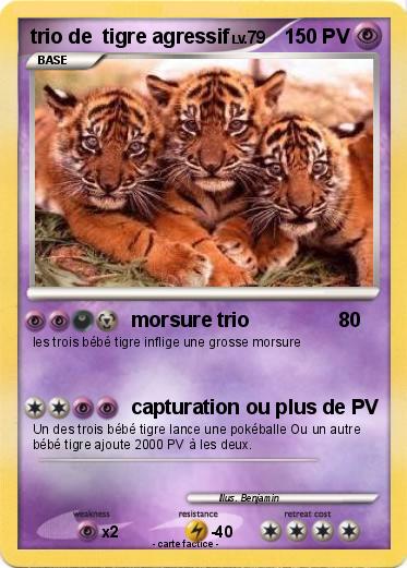 Pokemon trio de  tigre agressif