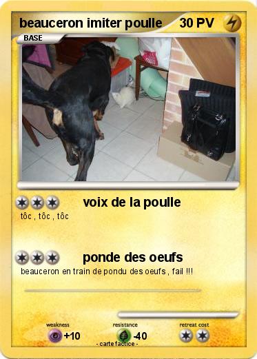 Pokemon beauceron imiter poulle