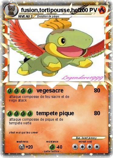 Pokemon fusion,tortipousse,hoho