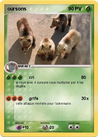 Pokemon oursons