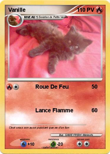 Pokemon Vanille