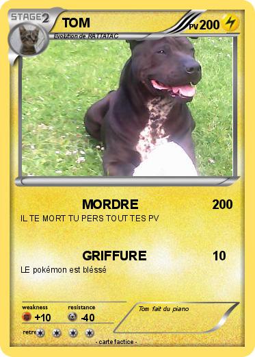 Pokemon TOM