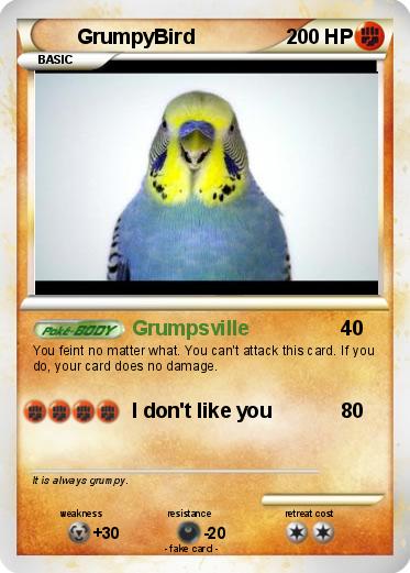 Pokemon GrumpyBird