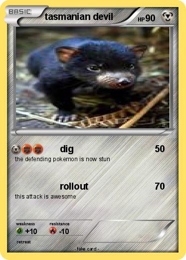 Pokemon tasmanian devil