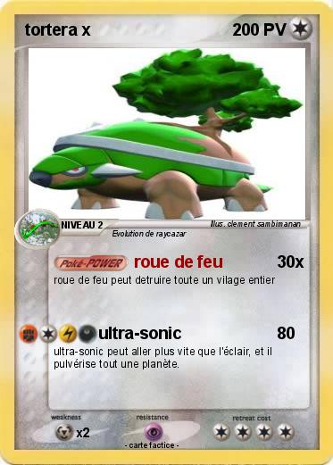 Pokemon tortera x