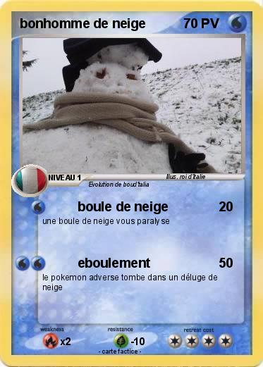 Pokemon bonhomme de neige