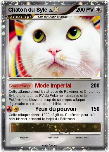 Pokemon Chaton du Syle