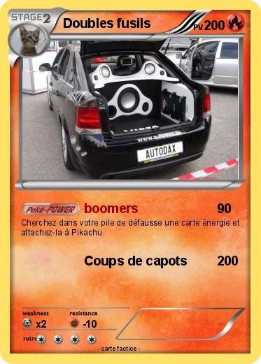 Pokemon Doubles fusils