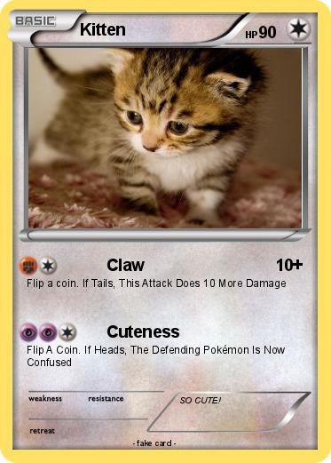 Pokemon Kitten