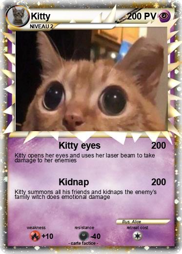 Pokemon Kitty
