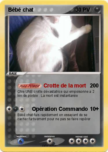 Pokemon Bébé chat