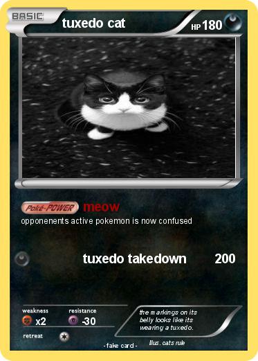 Pokemon tuxedo cat