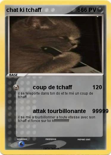 Pokemon chat ki tchaff
