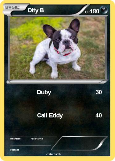 Pokemon Dity B