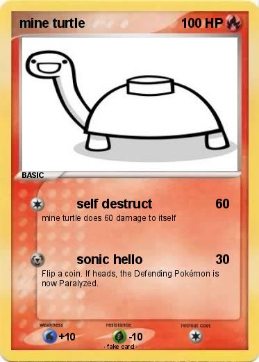 Pokemon mine turtle
