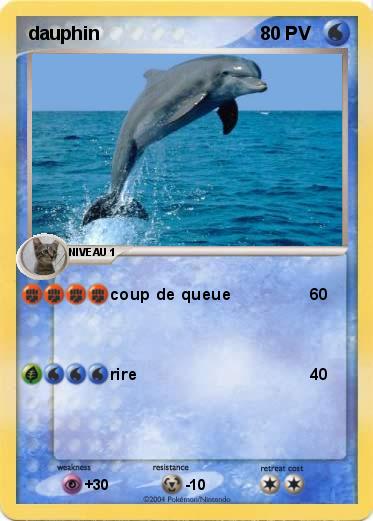 Pokemon dauphin