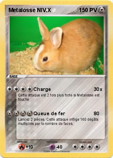 Pokemon Metalosse NIV.X