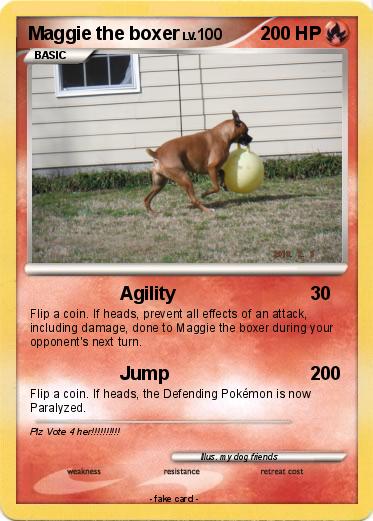 Pokemon Maggie the boxer