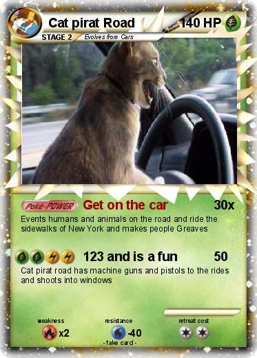 Pokemon Cat pirat Road