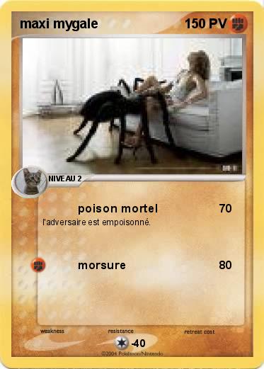 Pokemon maxi mygale