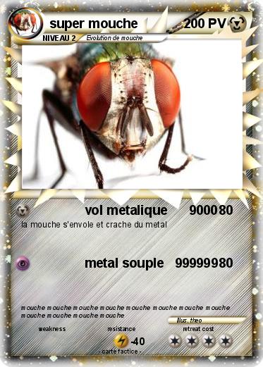 Pokemon super mouche