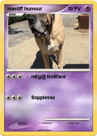 Pokemon mastiff humour