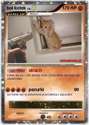 Pokemon boi kotek