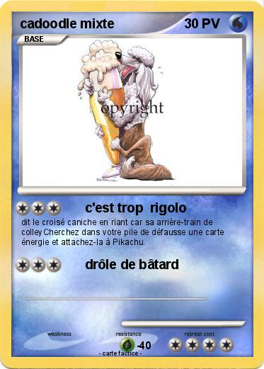 Pokemon cadoodle mixte