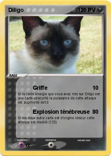 Pokemon Diligo