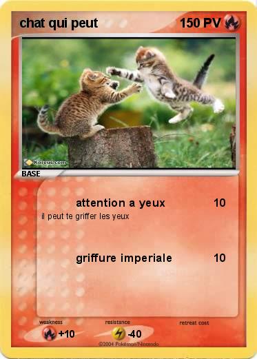 Pokemon chat qui peut