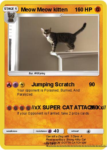 Pokemon Meow Meow kitten