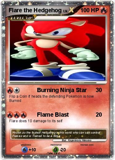 Pokemon Flare the Hedgehog