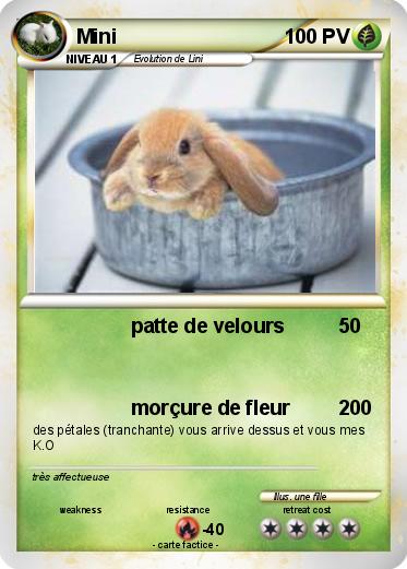 Pokemon Mini