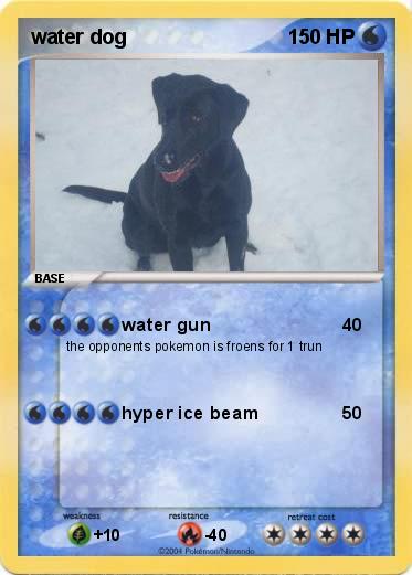 Pokemon water dog