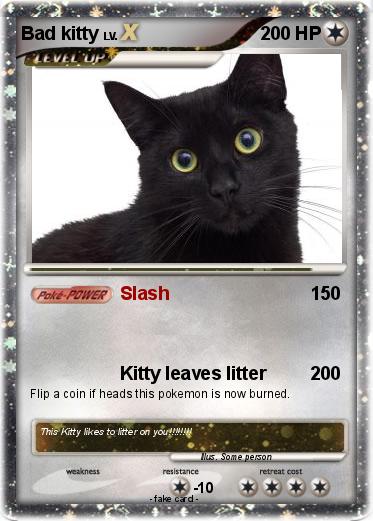 Pokemon Bad kitty