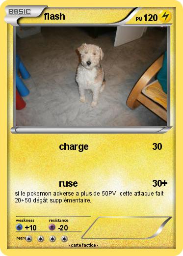 Pokemon flash
