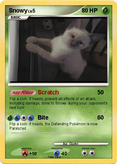 Pokemon Snowy