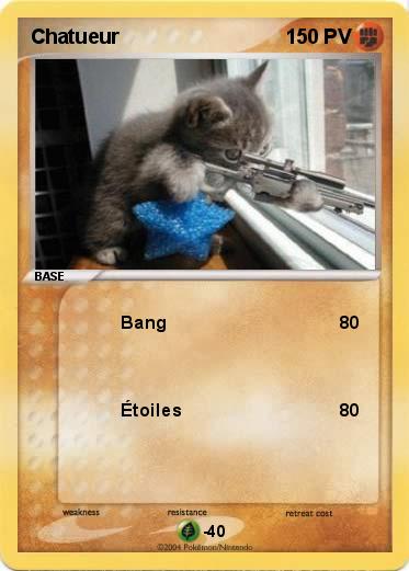 Pokemon Chatueur