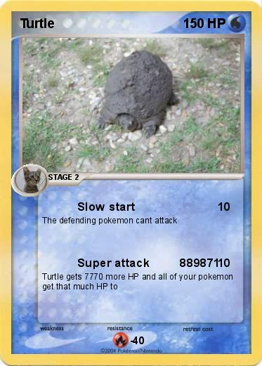 Pokemon Turtle