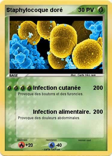 Pokemon Staphylocoque doré