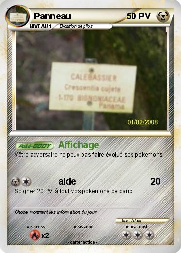 Pokemon Panneau