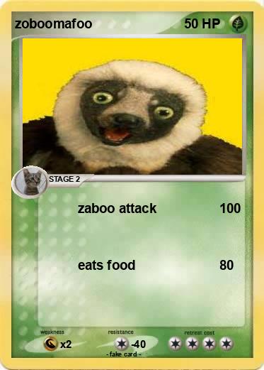 Pokemon zoboomafoo