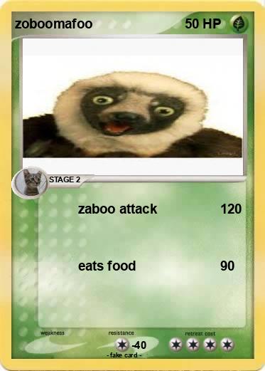 Pokemon zoboomafoo