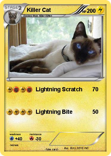 Pokemon Killer Cat