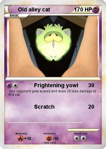 Pokemon Old alley cat